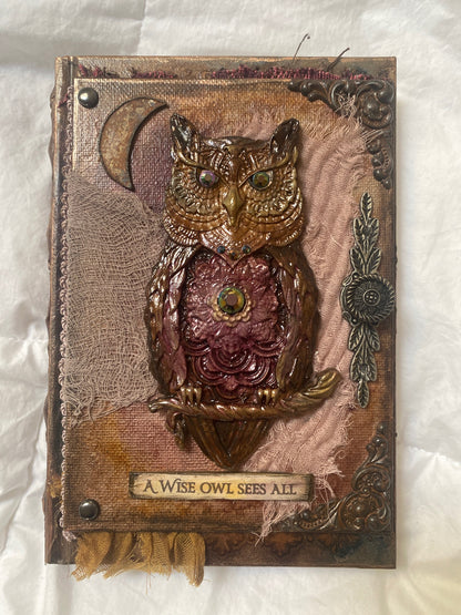 M.O.O.N. Journal - A Wise Owl